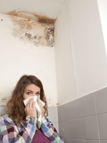 Mold and interior air quality inspection