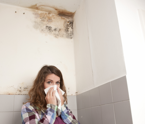 Mold and interior air quality inspection