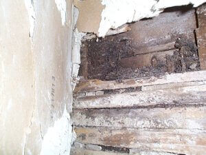 Pests: Make sure your attic remains uninhabited - Legault-Dubois ...