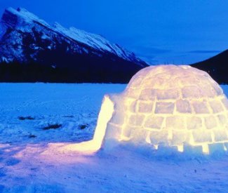 igloo igloo