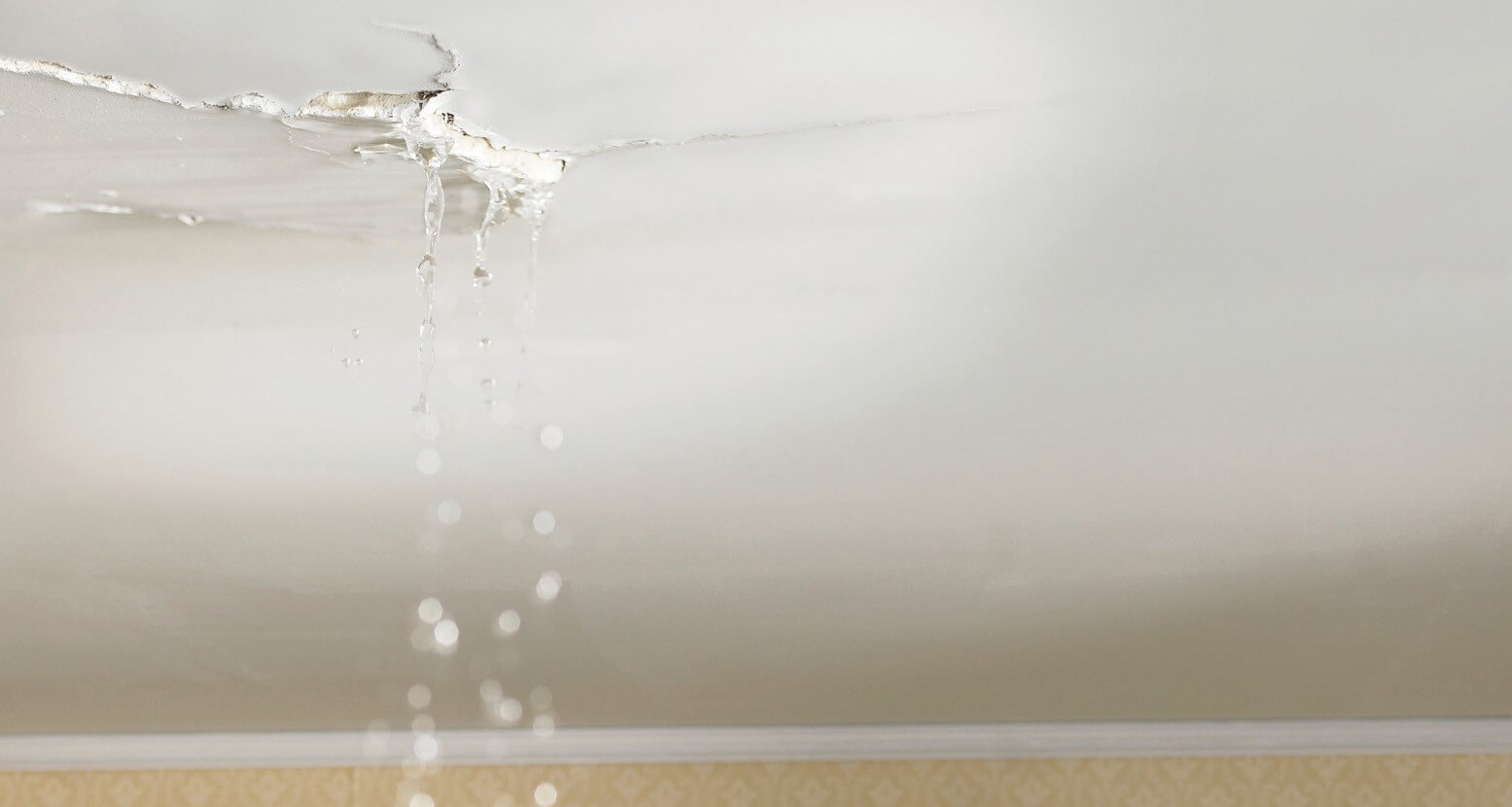 inspection infiltration eau toiture plafond