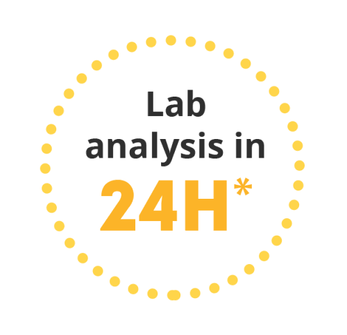 Lab analysis asbestos