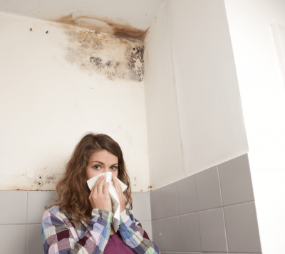 QUALITÉ DE L'AIR ET MOISISSURE