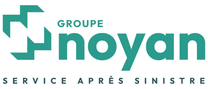 groupe noyan logo blanc