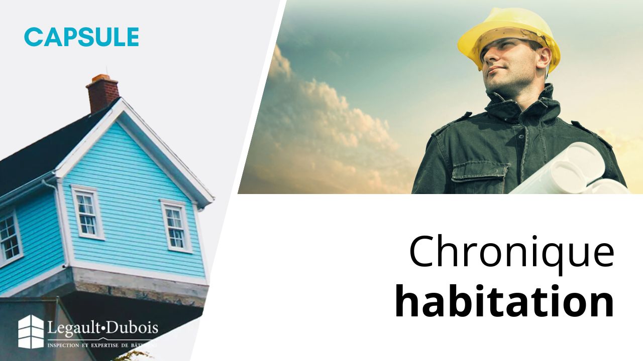ENTETE CHRONIQUE HABITATION