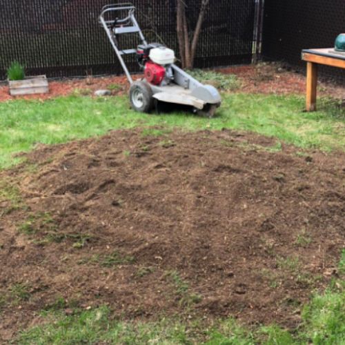 essouchage dulude 01