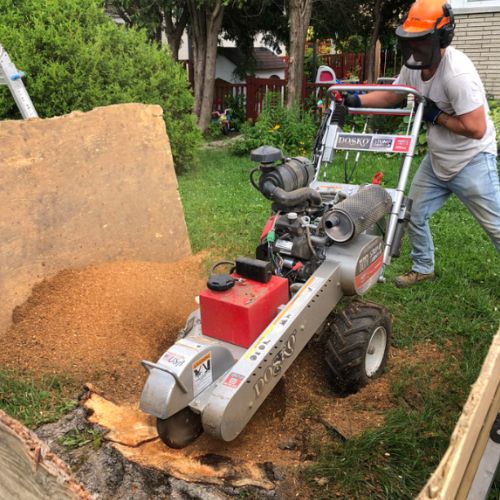 essouchage dulude 02