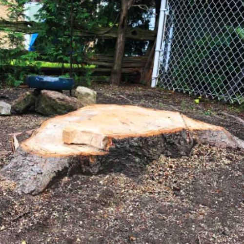 essouchage dulude 04