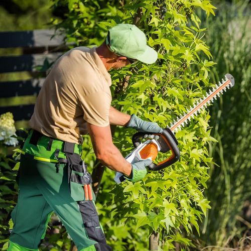 essouchage dulude (1)