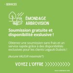 offre Émondage Arbrovision
